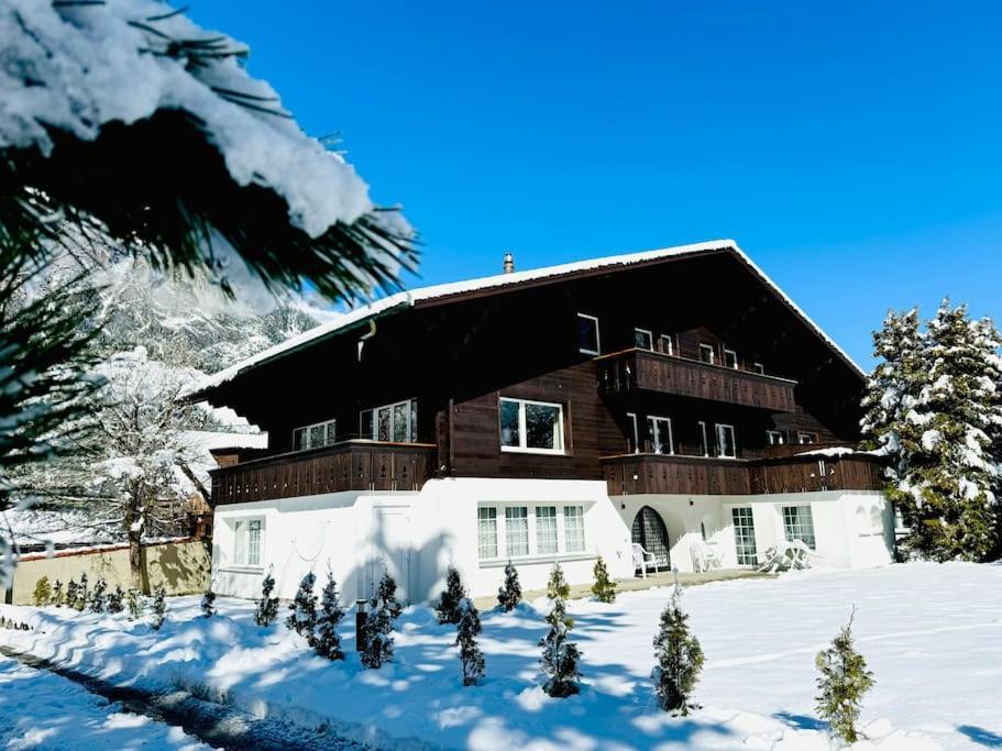 Appartement Bellevue & Classy Mountain View *