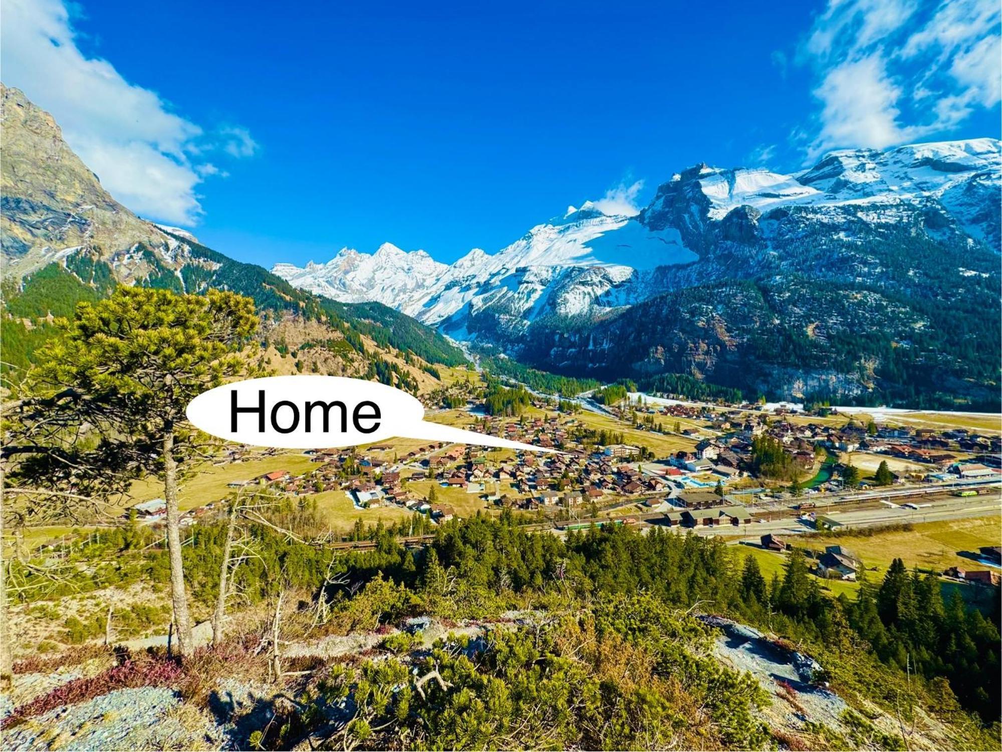 Bellevue & Classy Mountain View Apartment
